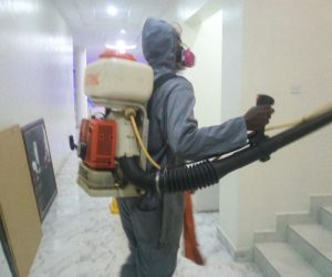 Pest control and fumigation services