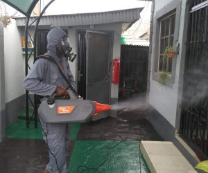 Pest control and fumigation services